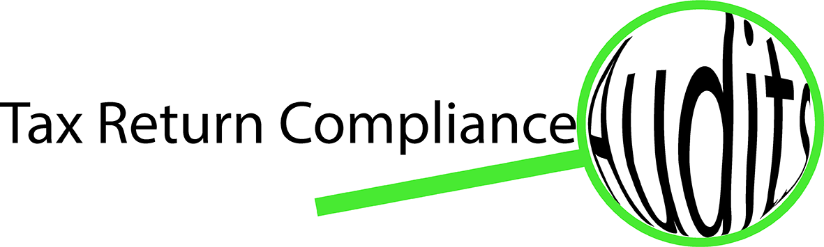 Tax return compliance activity audits